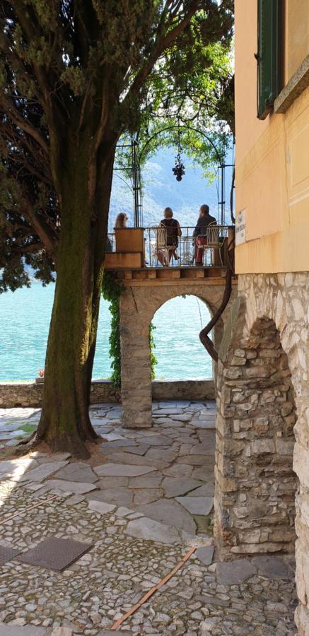 Lugano Lake, nido del cigno Oria  Exterior foto